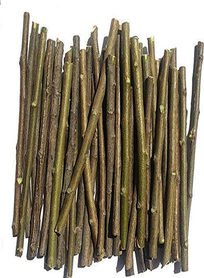 PS SHEVIN@® Pack of 40 Pieces Ayurvedic Natural Organic Neem Datun (Moti Datun) Organic Toothbrush Nim Tree Twigs Chew Sticks for Brushing Teeth Removes Bad Breath, Toothpaste (Fresh,@ZZ21 - Image 1